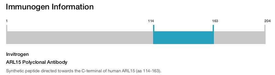 ARL15 Polyclonal Antibody
