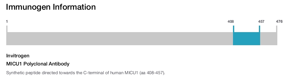MICU1 Polyclonal Antibody