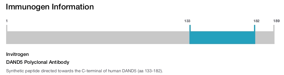 DAND5 Polyclonal Antibody