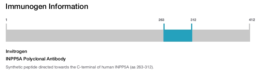 INPP5A Polyclonal Antibody
