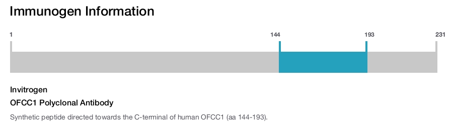OFCC1 Polyclonal Antibody