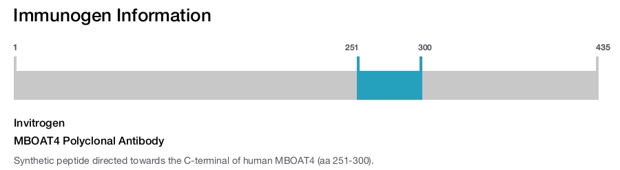 MBOAT4 Polyclonal Antibody