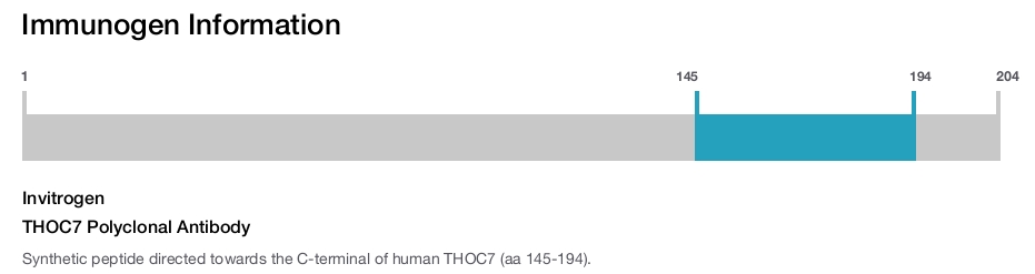 THOC7 Polyclonal Antibody