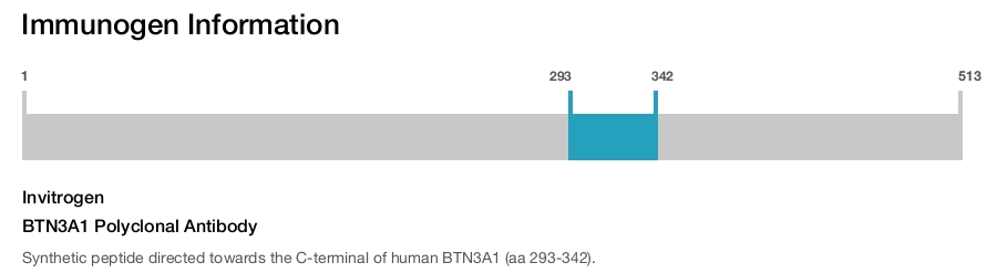 BTN3A1 Polyclonal Antibody