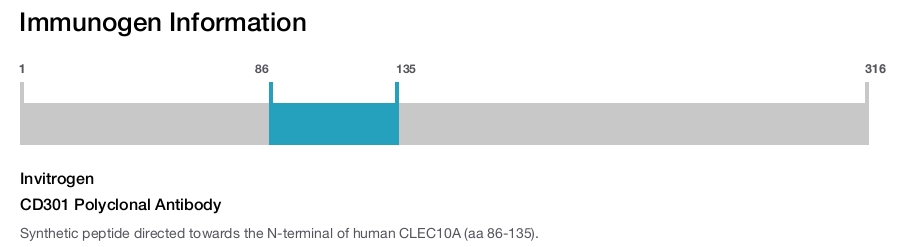 CD301 Polyclonal Antibody