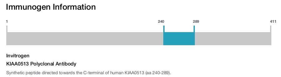 KIAA0513 Polyclonal Antibody