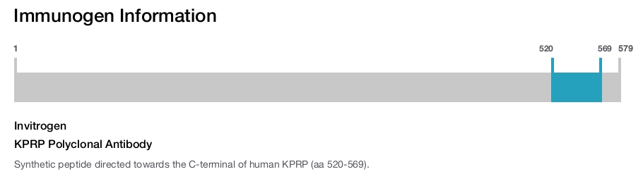 KPRP Polyclonal Antibody
