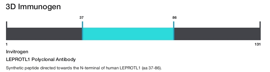 LEPROTL1 Polyclonal Antibody
