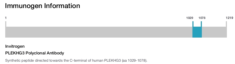 PLEKHG3 Polyclonal Antibody
