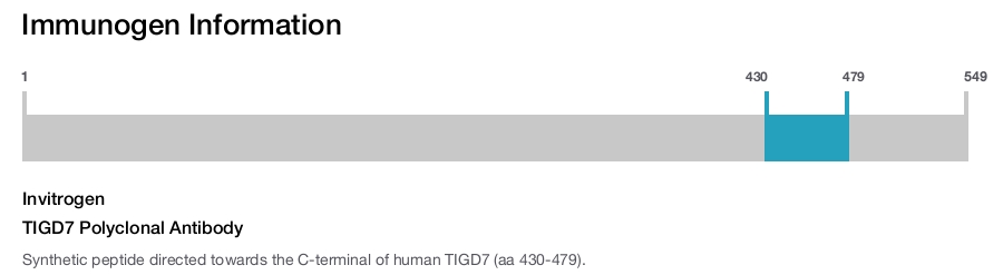 TIGD7 Polyclonal Antibody