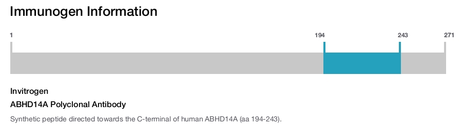 ABHD14A Polyclonal Antibody