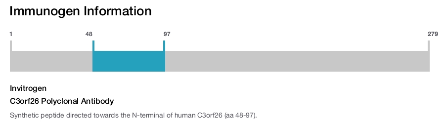 C3orf26 Polyclonal Antibody