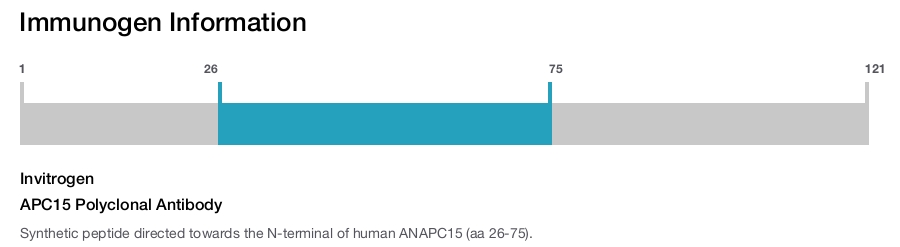 APC15 Polyclonal Antibody