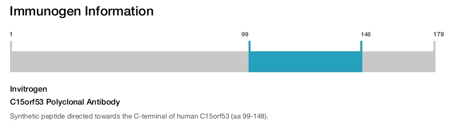 C15orf53 Polyclonal Antibody