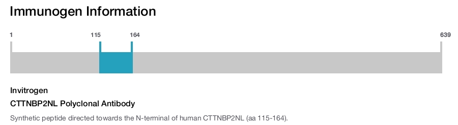 CTTNBP2NL Polyclonal Antibody