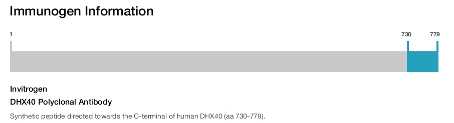 DHX40 Polyclonal Antibody
