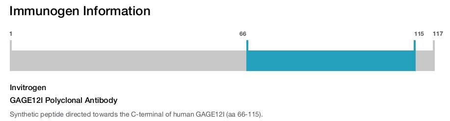 GAGE12I Polyclonal Antibody