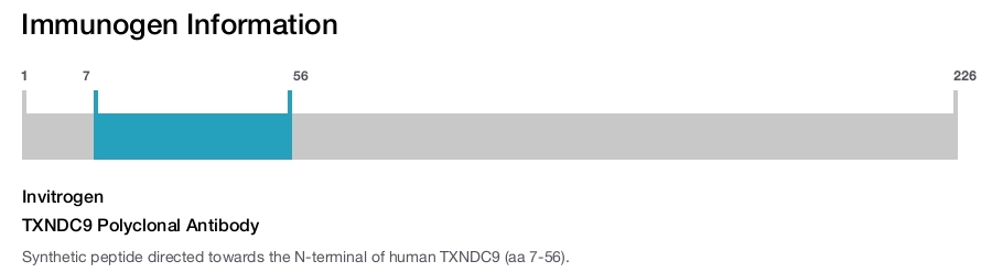 TXNDC9 Polyclonal Antibody
