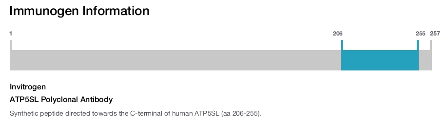 ATP5SL Polyclonal Antibody