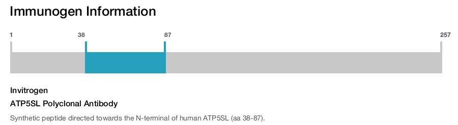 ATP5SL Polyclonal Antibody