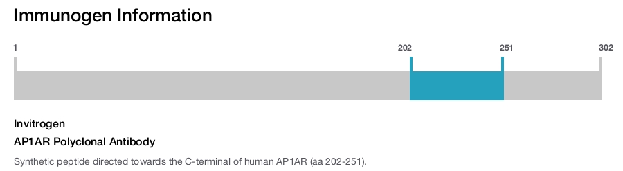 AP1AR Polyclonal Antibody