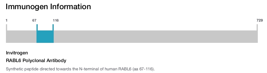 RABL6 Polyclonal Antibody