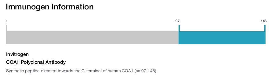 COA1 Polyclonal Antibody