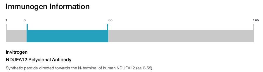 NDUFA12 Polyclonal Antibody