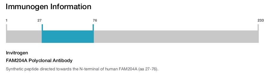 FAM204A Polyclonal Antibody