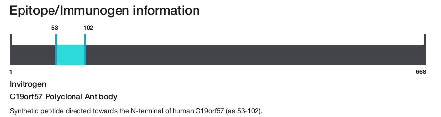 C19orf57 Polyclonal Antibody