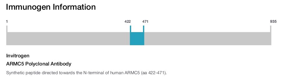 ARMC5 Polyclonal Antibody