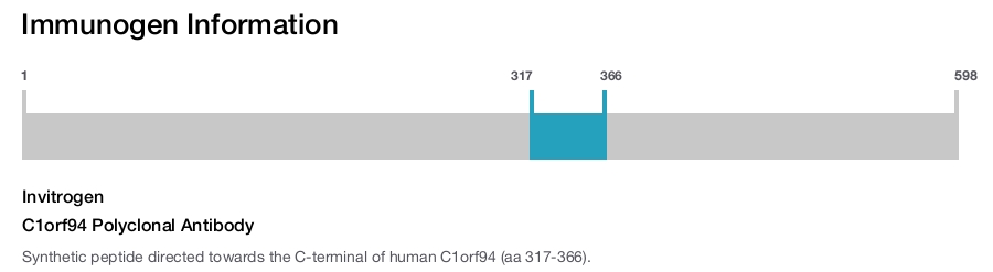 C1orf94 Polyclonal Antibody