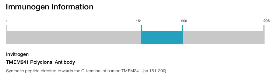 TMEM241 Polyclonal Antibody