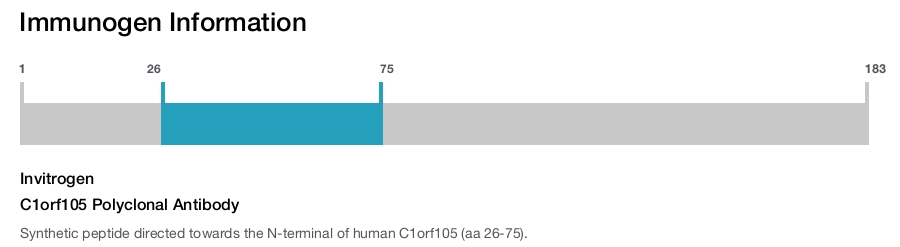 C1orf105 Polyclonal Antibody