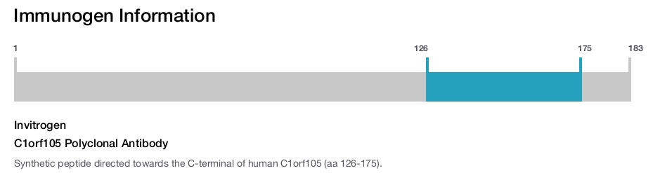 C1orf105 Polyclonal Antibody