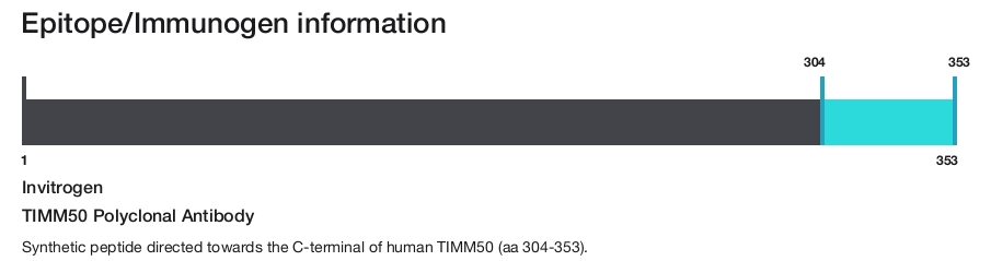 TIMM50 Polyclonal Antibody