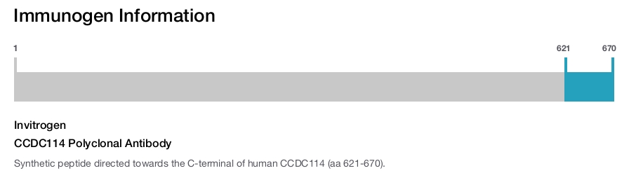 CCDC114 Polyclonal Antibody