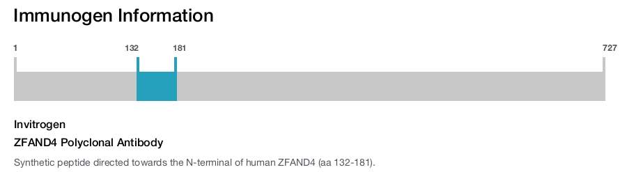 ZFAND4 Polyclonal Antibody
