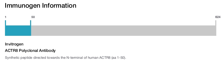 ACTR8 Polyclonal Antibody