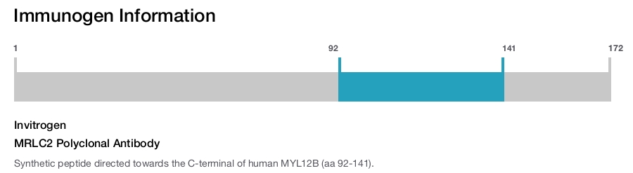 MRLC2 Polyclonal Antibody