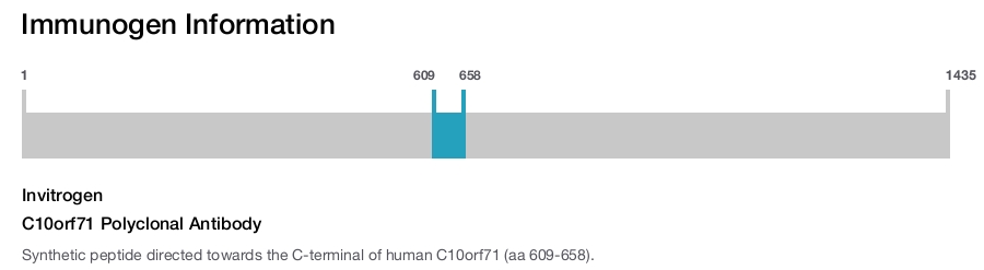 C10orf71 Polyclonal Antibody