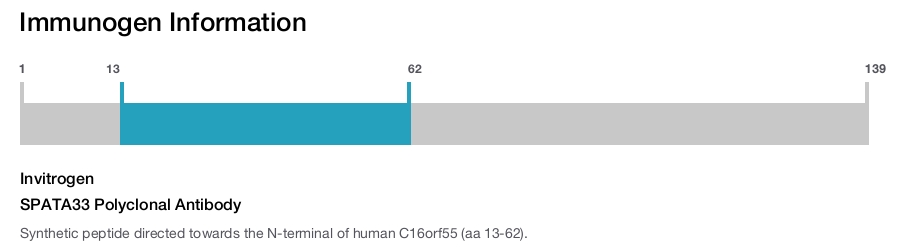 SPATA33 Polyclonal Antibody