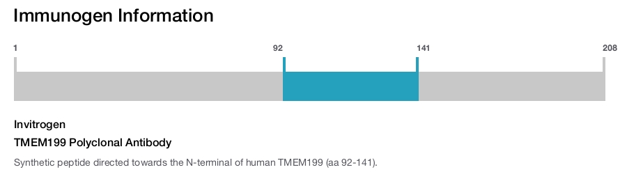TMEM199 Polyclonal Antibody