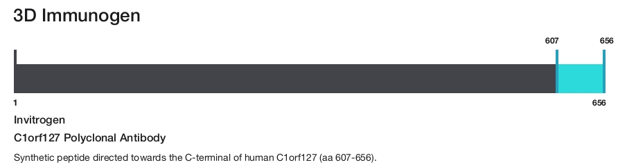 C1orf127 Polyclonal Antibody