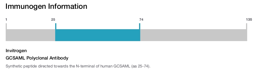 GCSAML Polyclonal Antibody