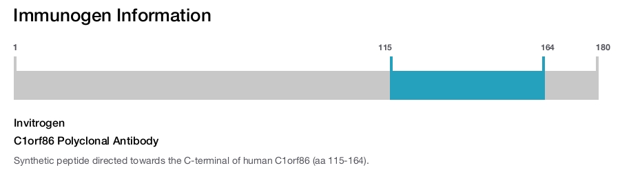 C1orf86 Polyclonal Antibody