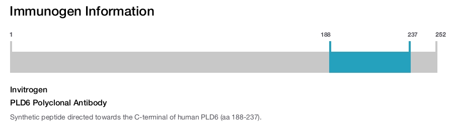 PLD6 Polyclonal Antibody