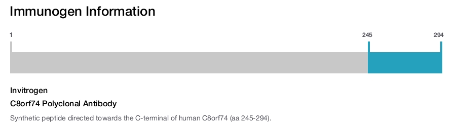 C8orf74 Polyclonal Antibody