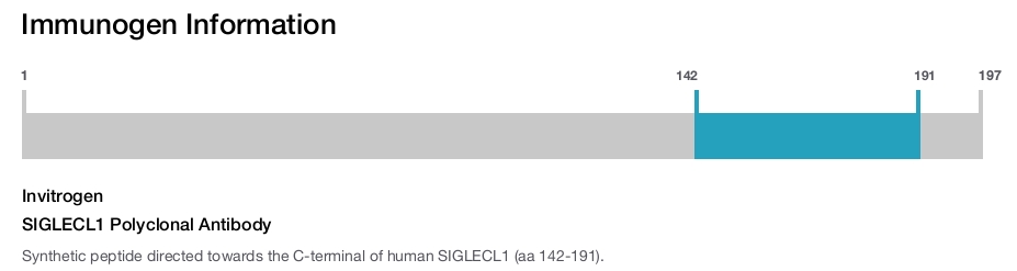 SIGLECL1 Polyclonal Antibody