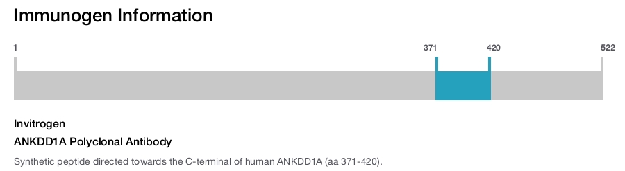 ANKDD1A Polyclonal Antibody